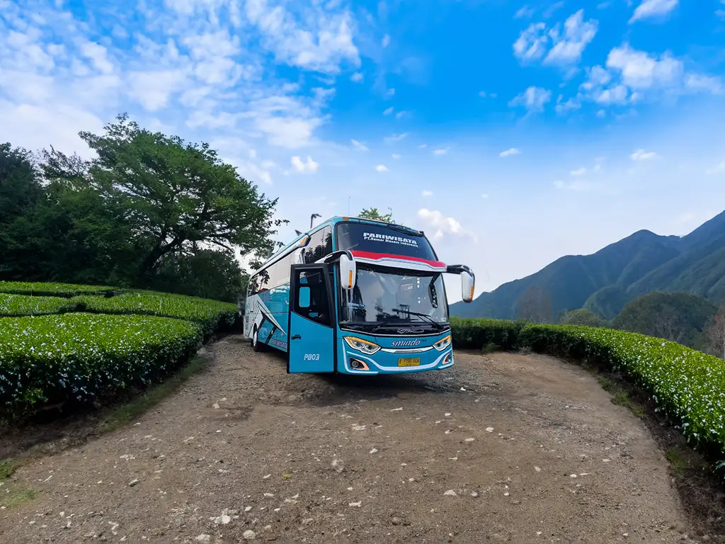 Sewa Bus Pariwisata ke Situ Patenggang