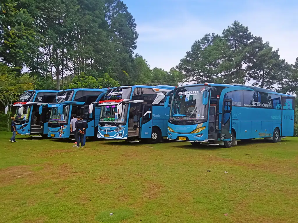 sewa bus pariwisata ke the jungle bogor